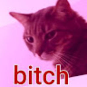 Meet your Posher, Clay